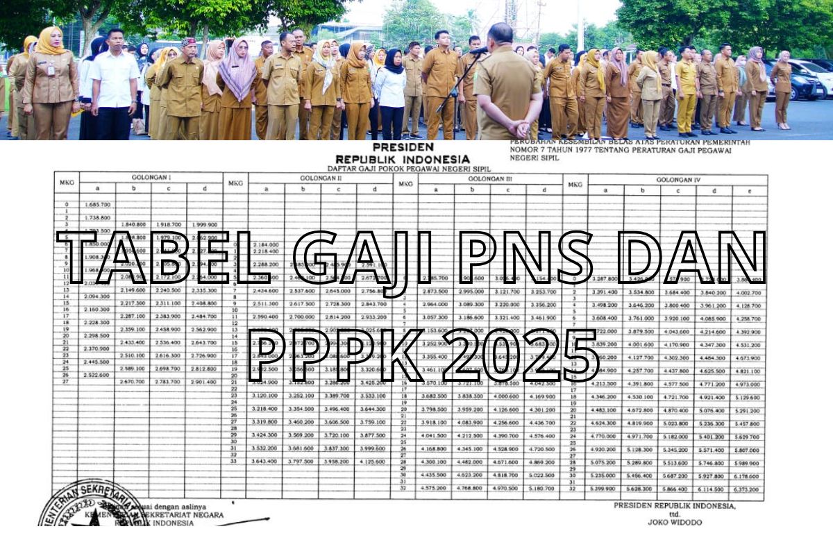 Resmi Ditetapkan, Gaji PNS dan PPPK 2025 akan Menerima Sebesar Ini, Per Bulan Melalui Kementerian Keuangan