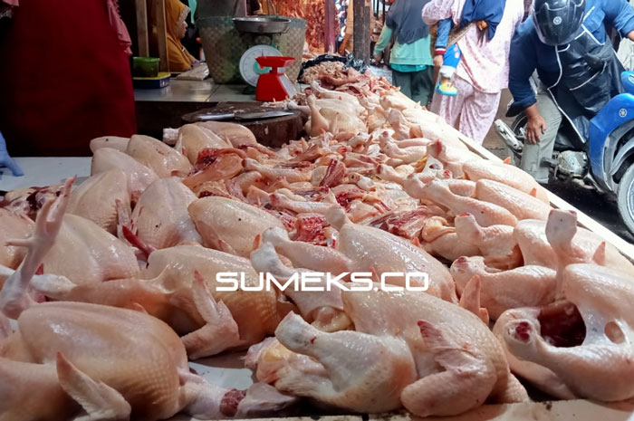 Sembako-Sayur di Palembang Turun, Harga Ayam Naik  