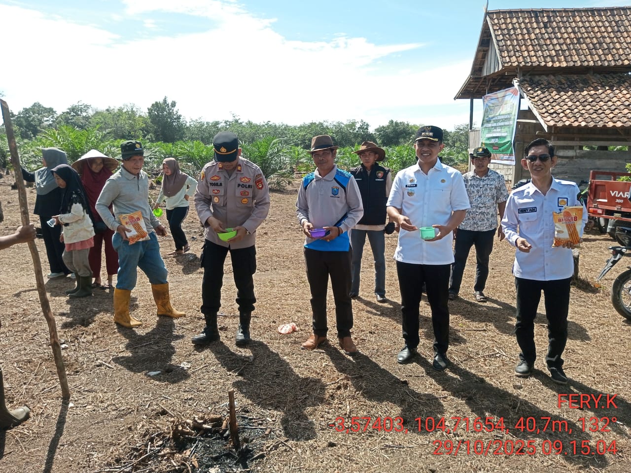 Petani Desa Sukarami Kecamatan Tanjung Lubuk OKI Tanam Jagung Pipil Sebagai Peluang Usaha