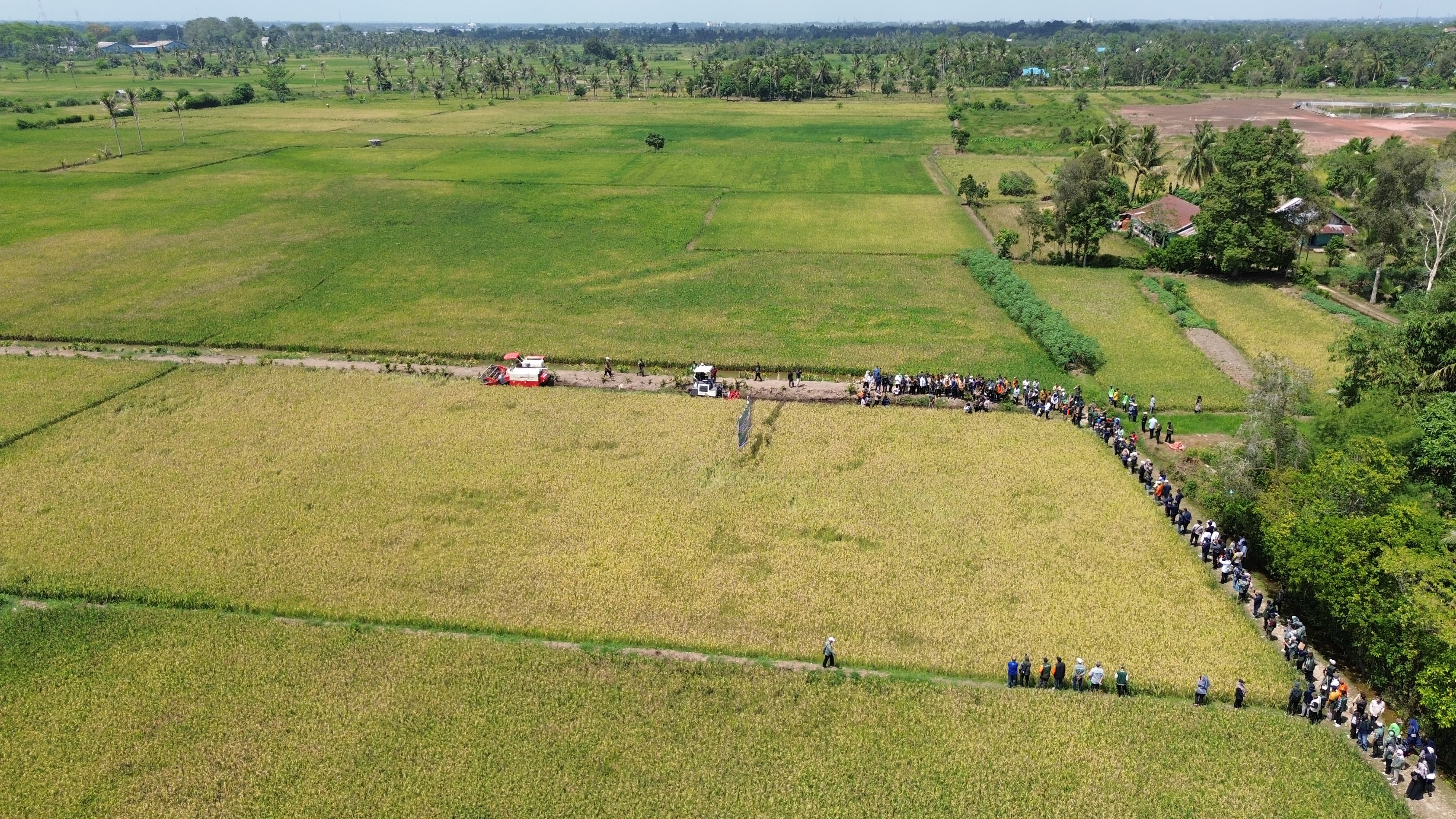 Banyuasin Digadang-gadangkan Punya SPBU Pertanian Pertama di Indonesia