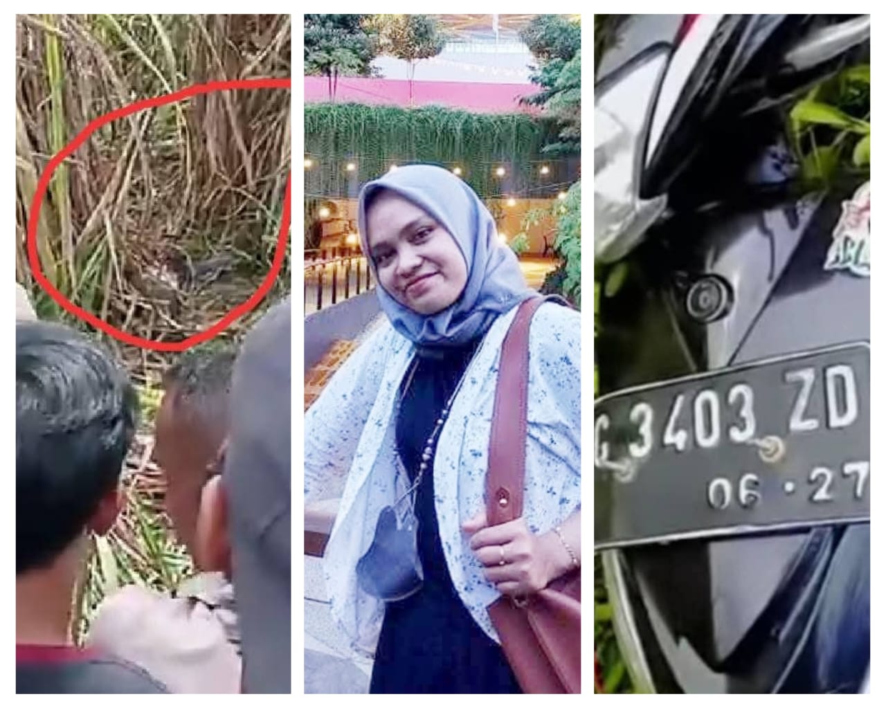 Identitas Mayat Wanita Hamil yang Ditemukan Tergeletak di Kebun Tebu Ogan Ilir Terungkap, Ini Dia Sosoknya!