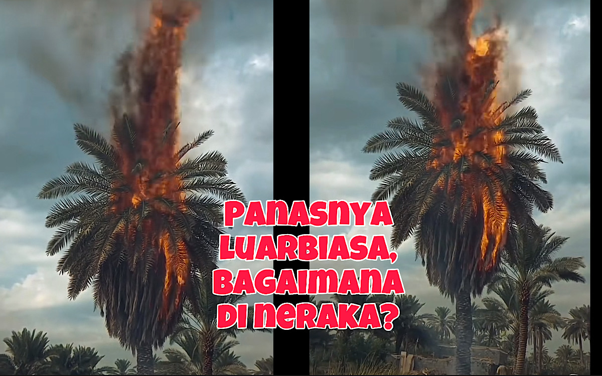 Fenomena Aneh Pohon-pohon Kurma Terbakar Sendiri di Arab, Pertanda Apa Ini?   