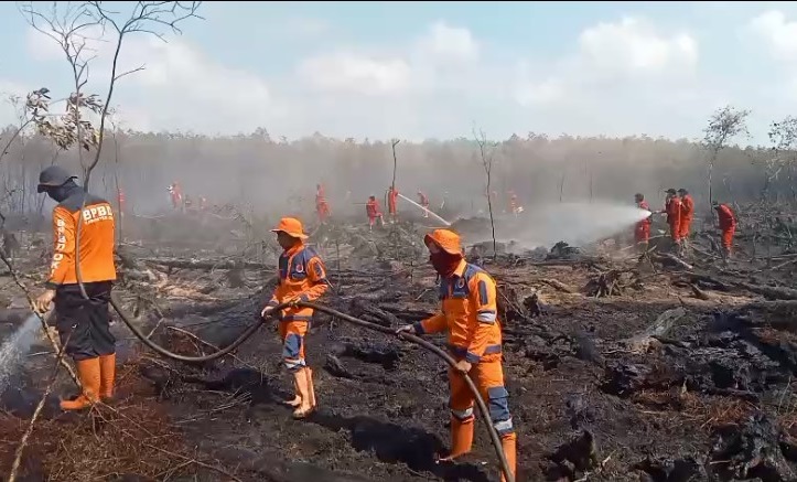 Ancaman Kabut Asap di Sumsel Makin Serius, BPBD Sumsel Laporkan 49 Titik Hotspot