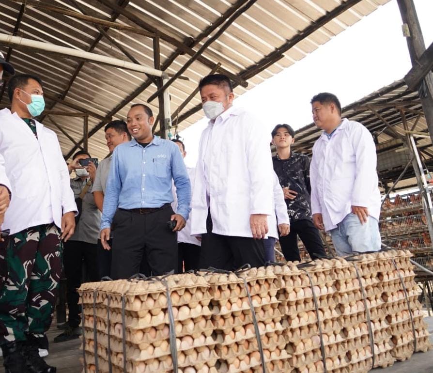 Gubernur Herman Deru Dorong Sertifikasi Peternak untuk Tingkatkan Daya Saing Telur Sumsel