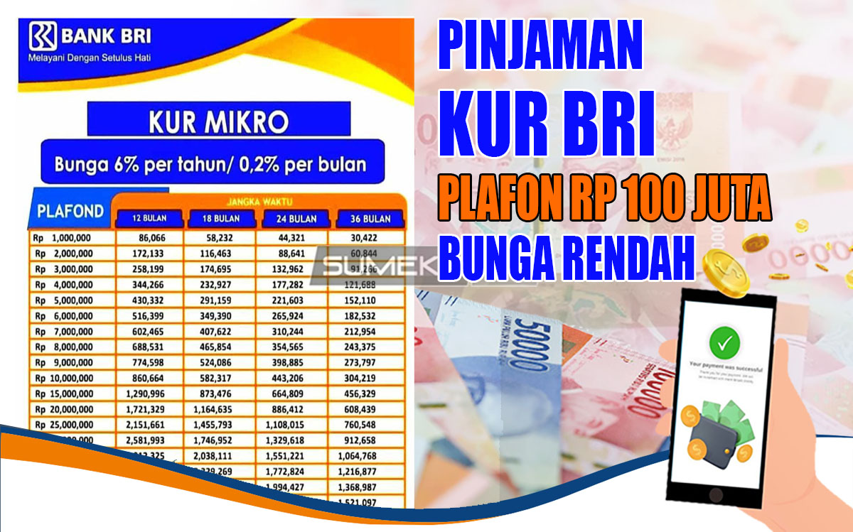 Rp100 Juta Cair! Ajukan Segera KUR BRI 2024 Tanpa Jaminan Cuma Pakai Data Ini