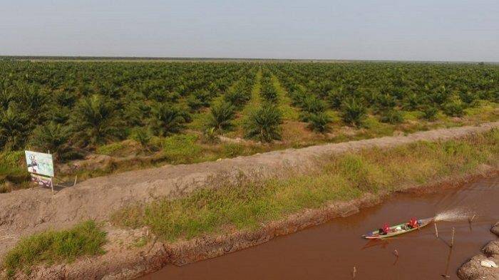 14 Tahun PT SAM Tak Bayar Plasma Warga Desa Putak Gelumbang Muara Enim, LBH PWI Sumsel Bantu Mediasi