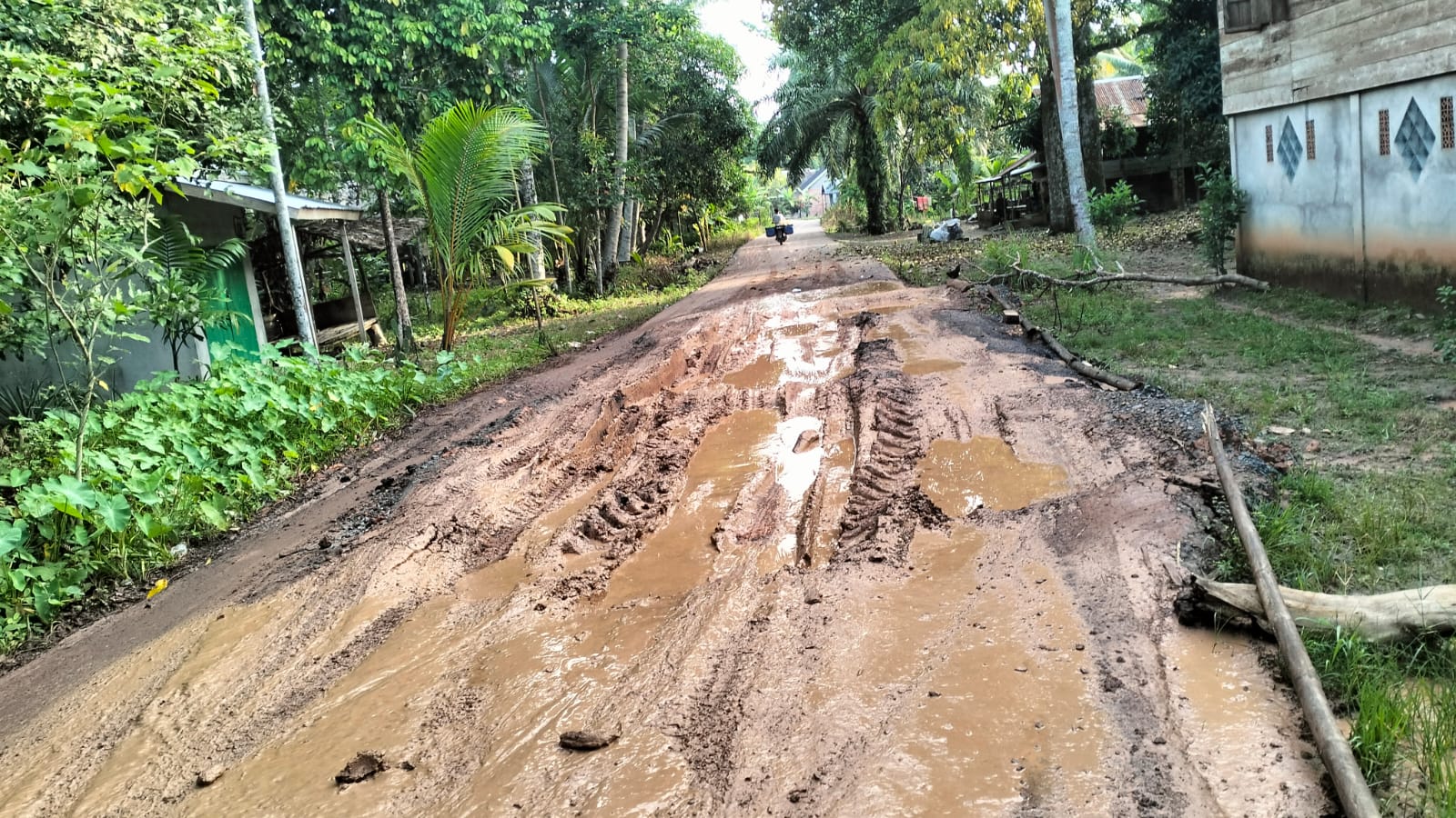 Jalan Rusak Milik Kabupaten di Kotadaro 2 Ogan Ilir Sulitkan Warga Beraktivitas, Berharap Segera Diperbaiki