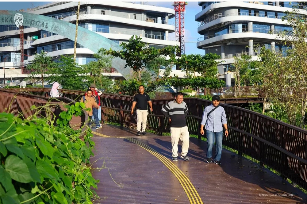 Tanaman Merambat di IKN, Sentuhan Alam yang Ciptakan Nuansa Natural dan Asri