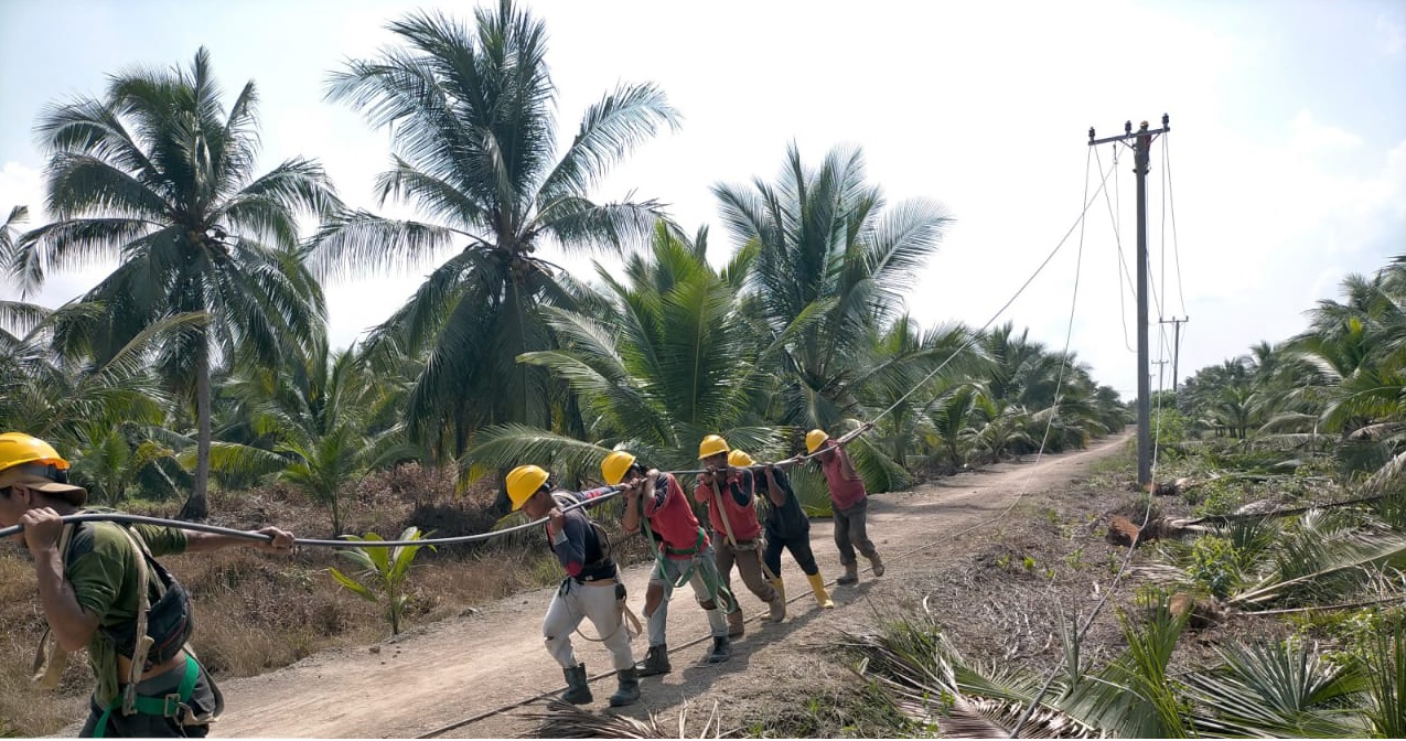 Negara Hadirkan Listrik Lewat PLN, Industri Perikanan Warga Desa Perajen Jaya di Sumsel Tumbuh Pesat