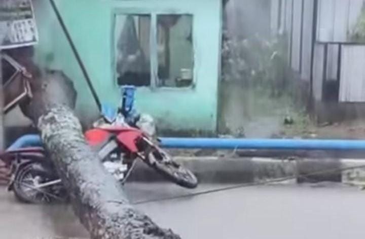 Diguyur Hujan Palembang Dikepung Banjir, Waspada Pohon Tumbang Timpa Motor