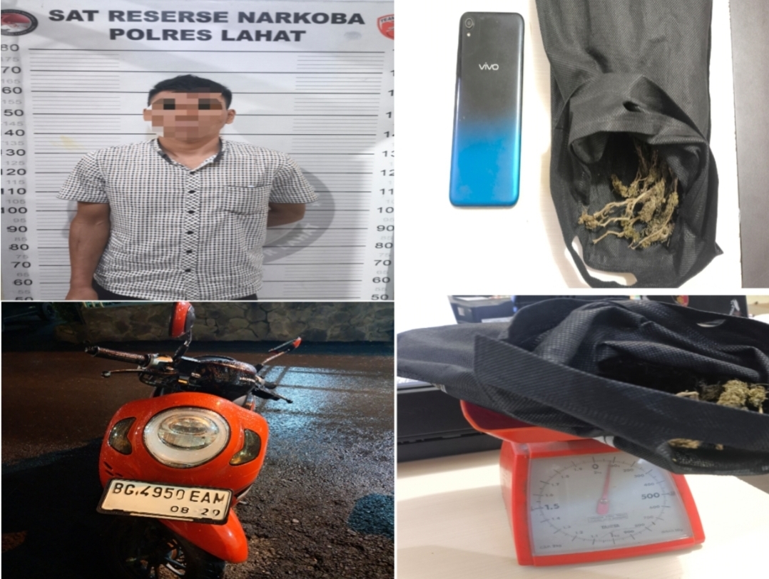 Pengedar Ganja di Lahat Selatan Diringkus, Barang Bukti Diamankan, Pemasok Masih DIburu