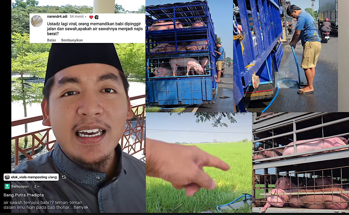 Berikut Penjelasan Ustaz Putra Pradipta Terkait Memandikan Babi di Tepian Sawah Milik Warga