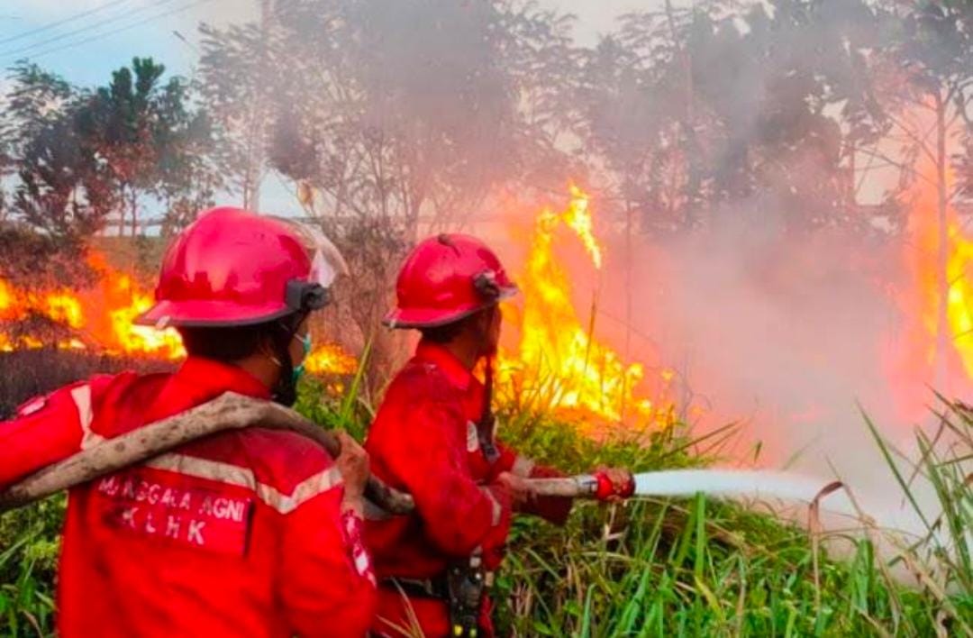 Pecah Telur, Kejati Sumsel Terima 1 SPDP Kasus Karhutla dari Korporasi, Ini Nama Perusahaannya