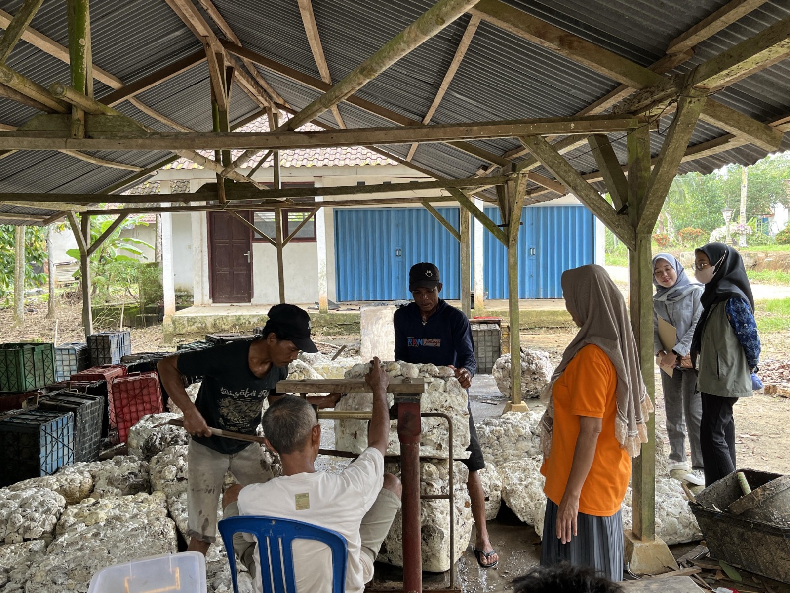 Harga Komoditi Karet Berangsur Naik, Tembus Rp30. 236 Per Kilogram, Produksi Mulai Naik