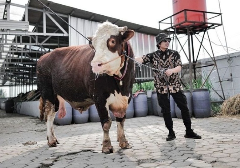 Mendadak Ganti Profesi, 4 Artis Ini Jadi Penjual Hewan Kurban, Pembelinya Menteri