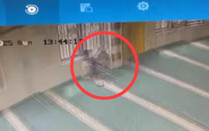 Terekam CCTV Curi Kotak Amal Mushola, Anak Bawah Umur di Palembang Nyaris Diamuk Massa, Dikembalikan ke Ortu 