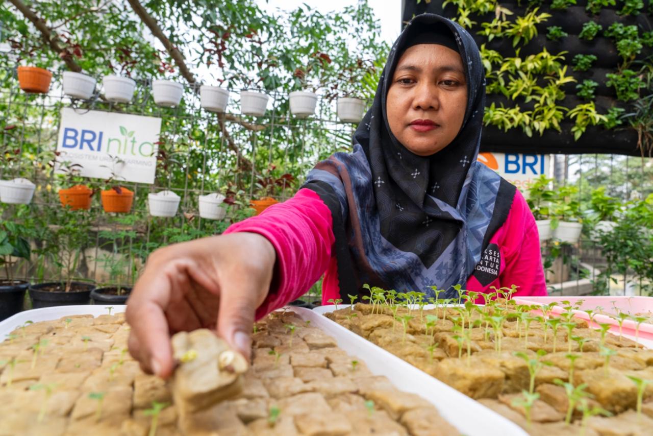 BRI Raih Penghargaan Sustainable Impact Berkat Program BRInita