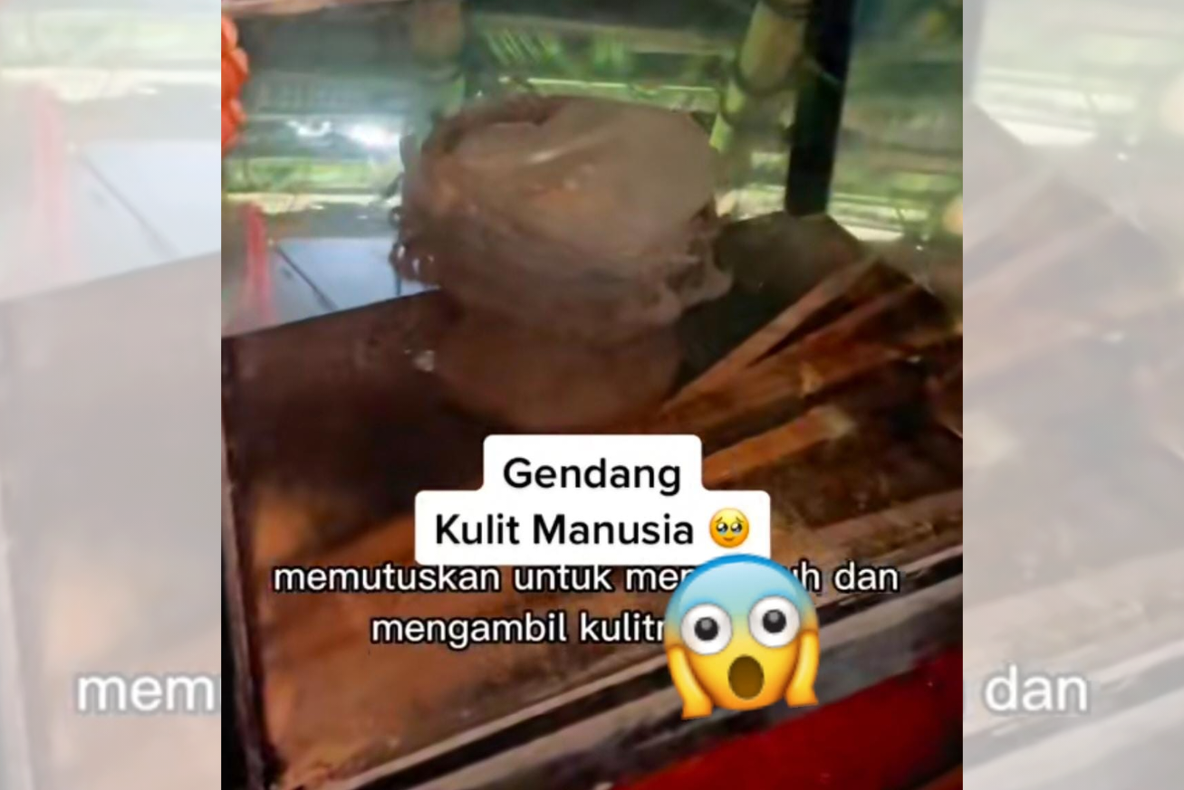 OMG! Kisah Gendang dari Kulit Manusia di NTT, Konon Berasal Dari Kulit Wanita Cantik Rebutan Tiga Kerajaan