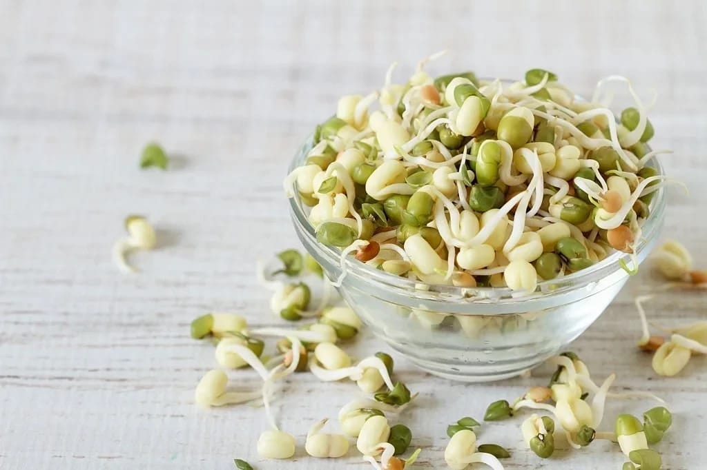Cara Menanam Tauge dari Kacang Hijau, Bisa Hemat Uang Belanja