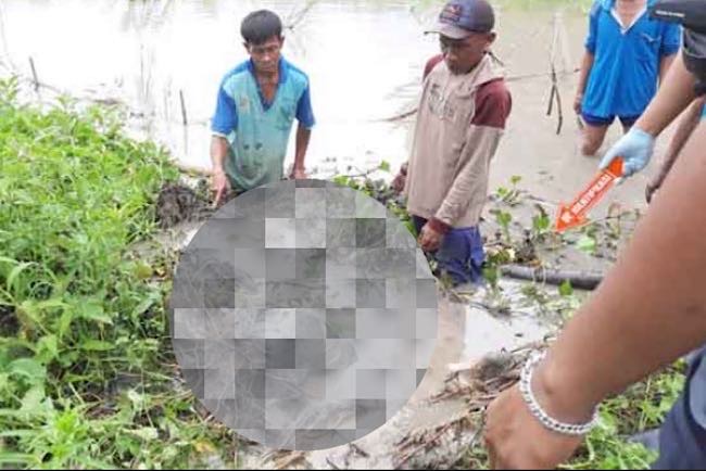 Heboh Temuan Jasad Pria Tersangkut Semak Penuh Lumpur di SP Padang OKI, Istri Mencari Sudah 3 Hari Tak Pulang