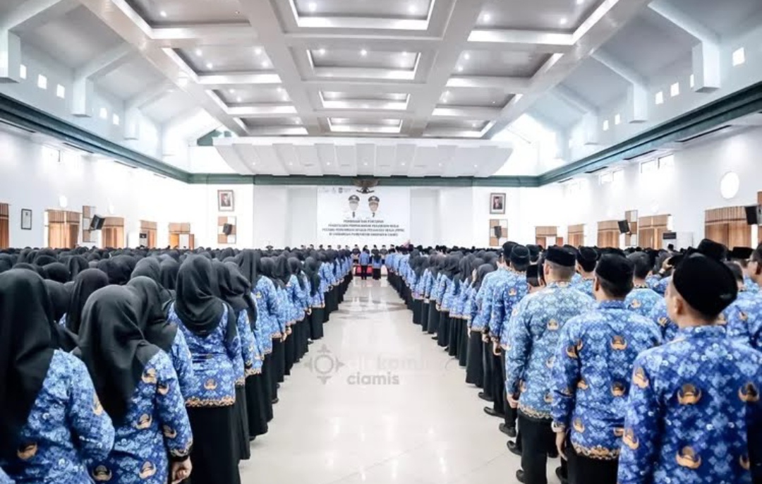 Wajib Tahu! Satu Kesalahan Ini Bisa Gagalkan Pengangkatan PPPK Tenaga Honorer