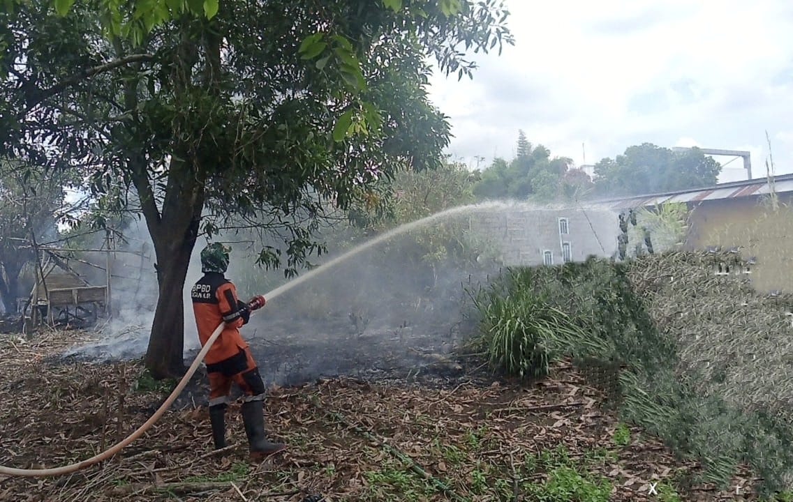  6 Lokasi Kebakaran, Sudah 9,5 Hektare Lahan Kosong di Ogan Ilir Terbakar