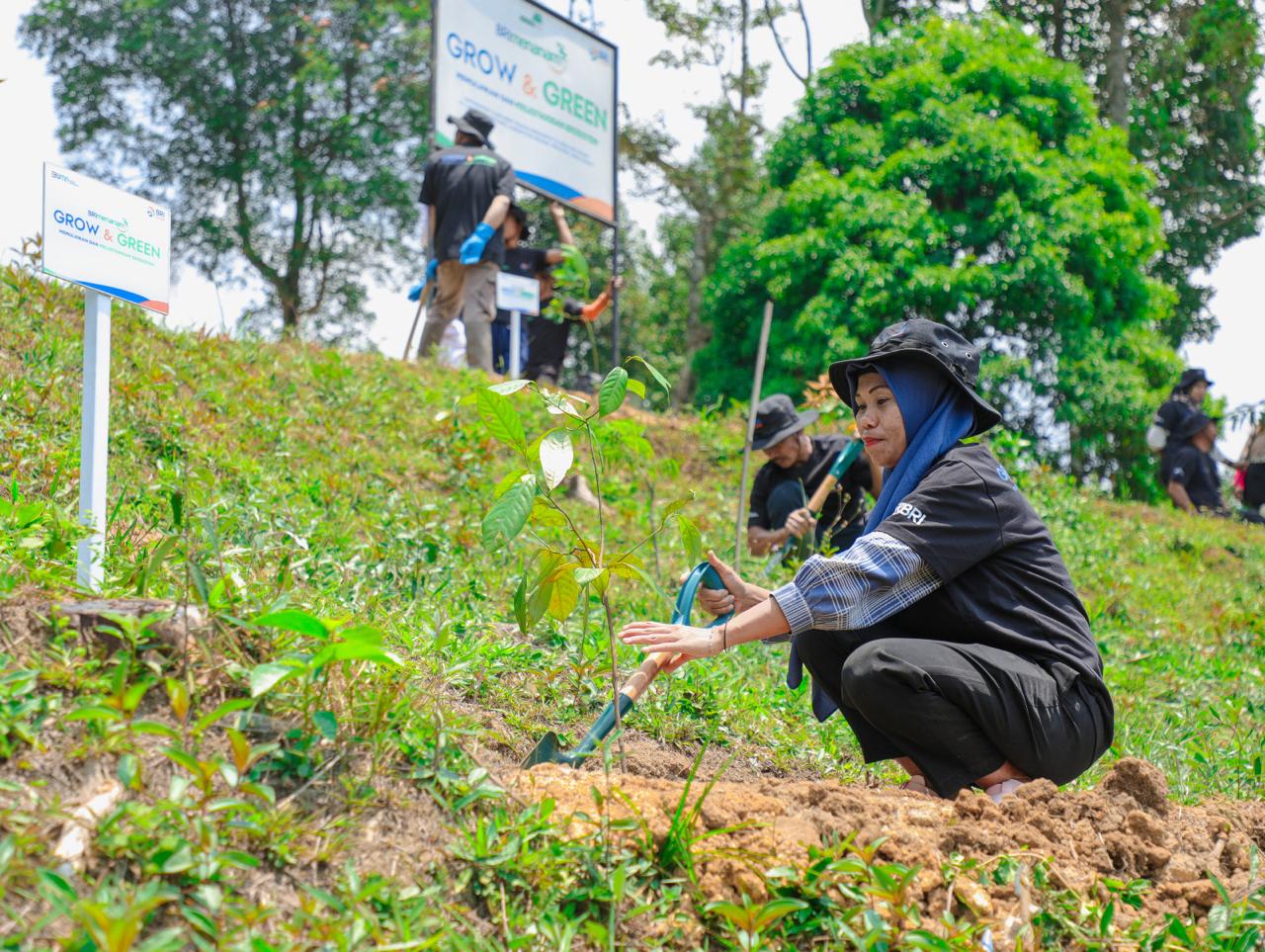 Pulihkan Hutan Bekas Tambang, Aksi Nyata Kelompok Tani Menanam-Grow dan Green Bersama BRI 