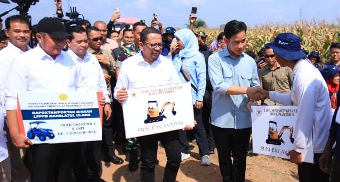 Dukung Program Asta Cita Presiden Prabowo Subianto, Gibran Panen Jagung di Banyuasin