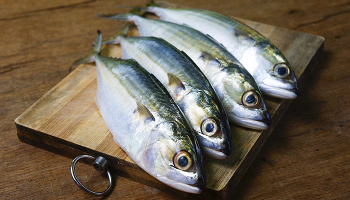 Penjualan Ikan Salem Dilarang, Saatnya Beralih Konsumsi Ikan Kembung, Mua Tau Manfaatnya?