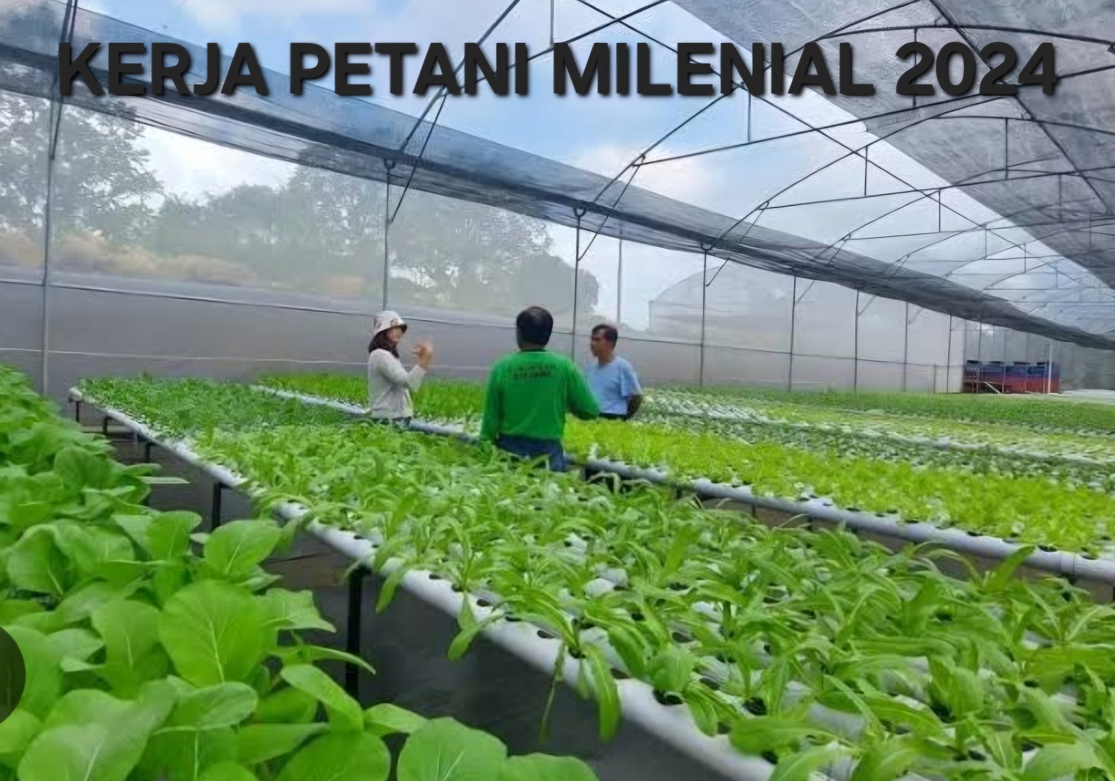 Gaji Menggiurkan Rp 10 Juta/Bulan, Gen Z Jangan Salah Kaprah, Apa Kerja Petani Milenial?