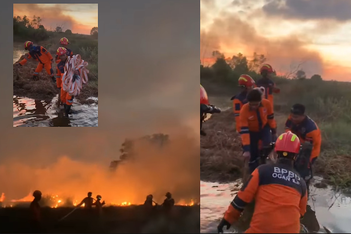 Sukses Atasi 2 Titik Kebakaran Hutan di Ogan Ilir, BPBD Ungkap Kendala Terbesar 
