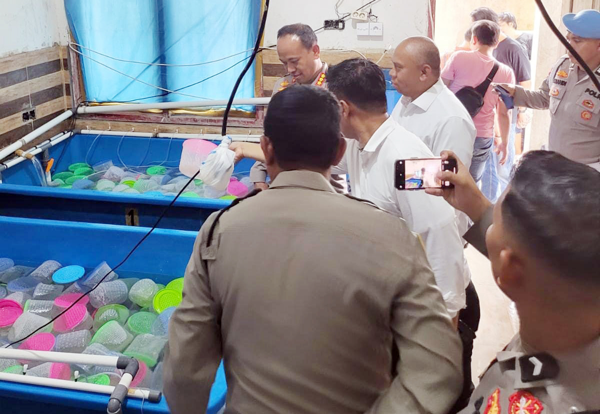 Satreskrim Polrestabes Palembang Amankan 93 Ribu Benih Lobster