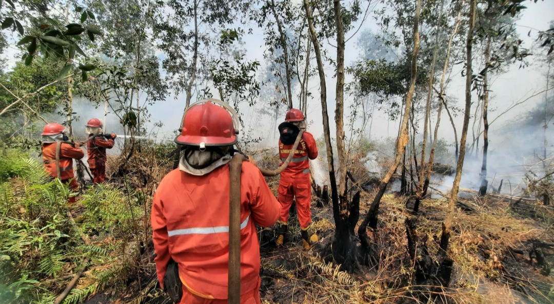 6 Hari Lahan Gambut di Pampangan Kabupaten OKI Masih Terbakar