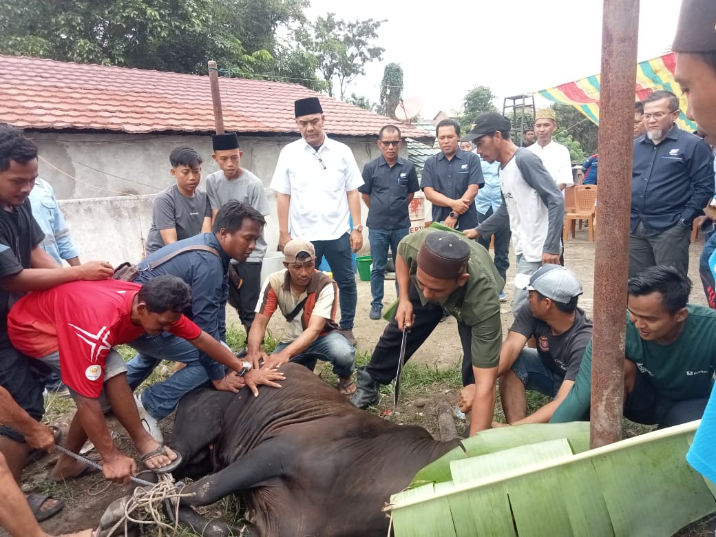 Sukses Bisnis dan Berbagi, PT SBS Potong Hewan Kurban untuk Warga Ring 1 di Muara Enim