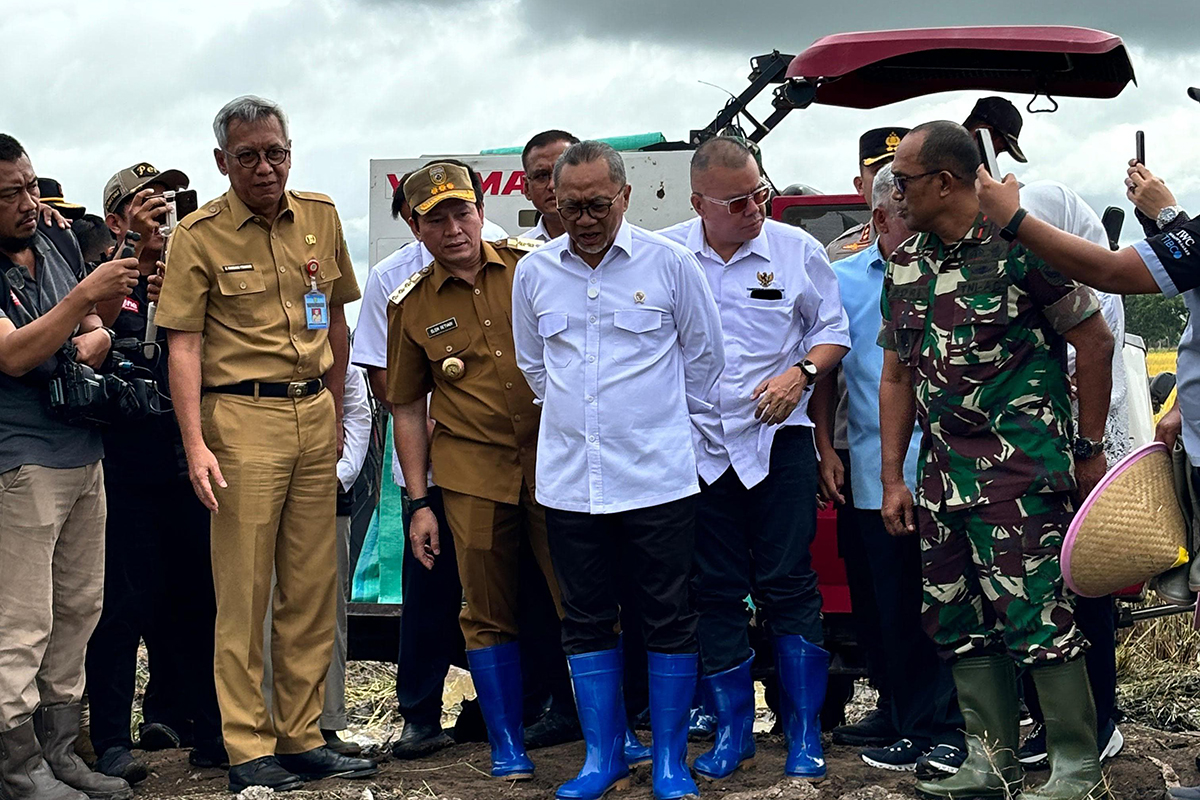 Zulhas Tegaskan Pabrik Padi Wajib Beli Gabah Petani Seharga Rp 6.500/Kg