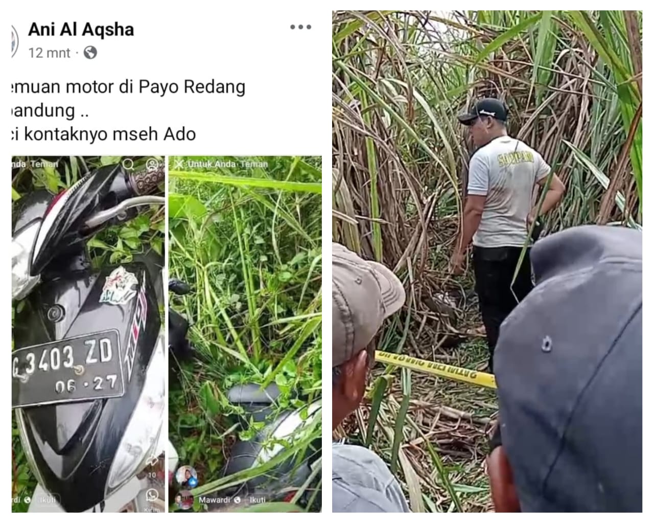 BREAKING NEWS! Seorang Wanita Hamil Ditemukan Tergeletak Tak Bernyawa di Kebun Tebu Desa Seribandung Ogan Ilir