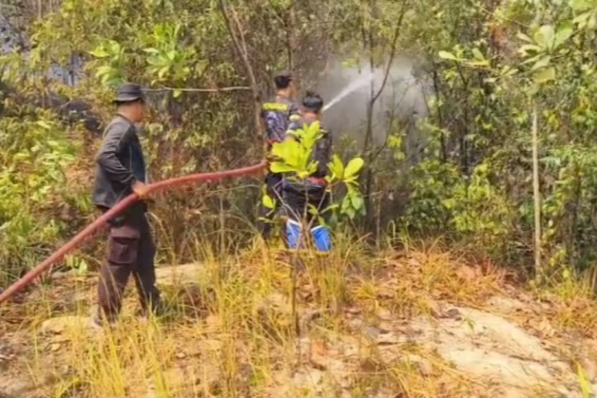 Api Lahap 1 Hektare Lahan Berhasil Dijinakkan