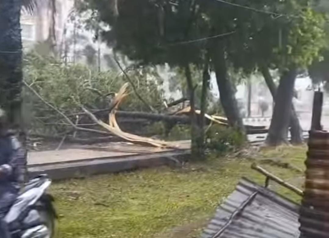 Hujan Deras Disertai Angin Kencang di Palembang, Berikut Titik Lokasi Pohon Tumbang hingga Hujan Es 