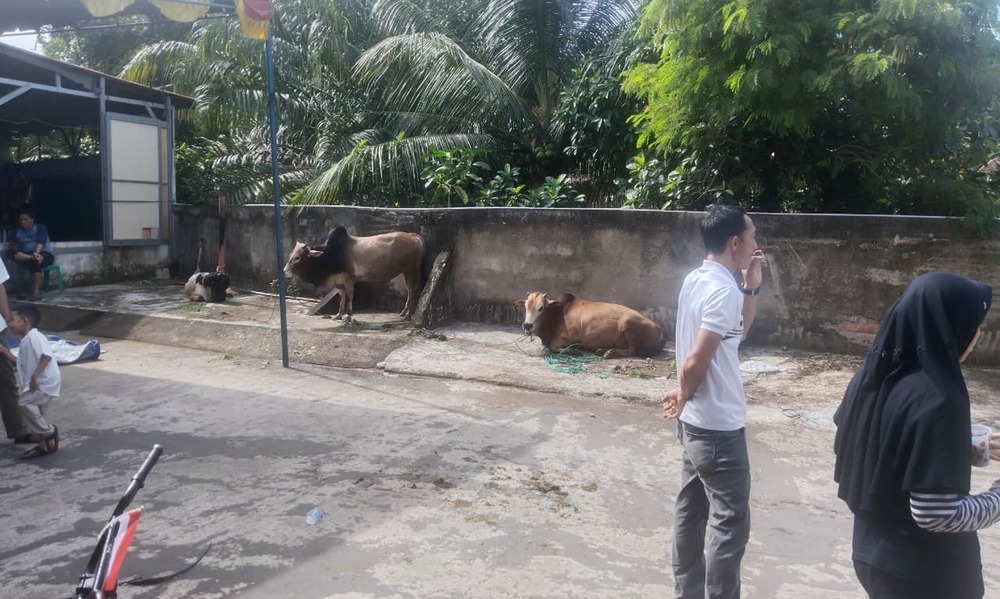 Warga Villa Gardena 4 Berkurban 6 Sapi-3 Kambing