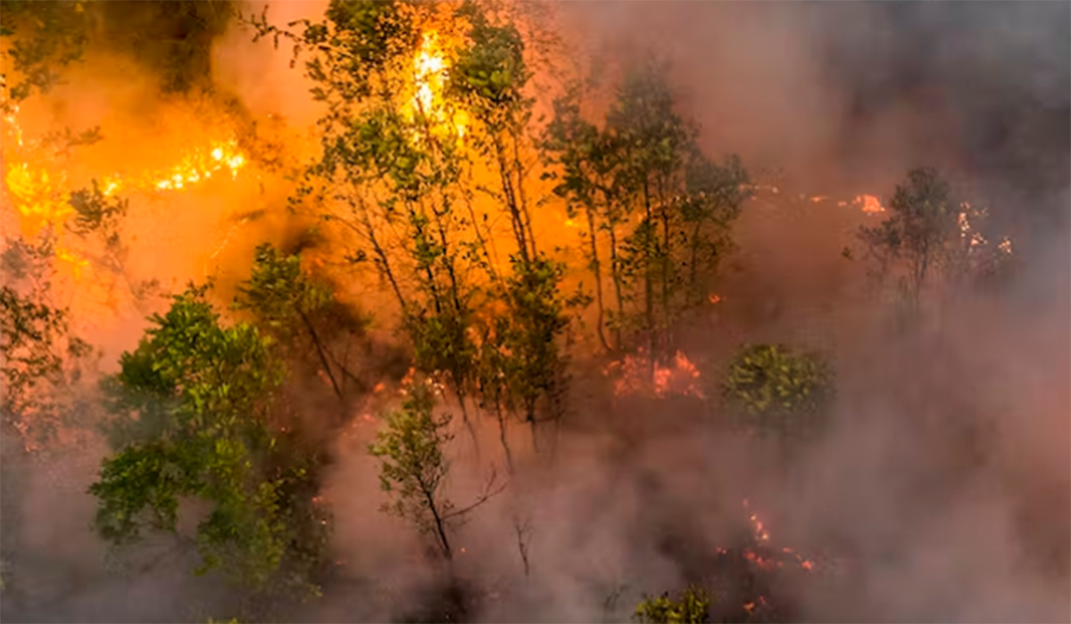 Kapolsek Semidang Aji Polres OKU Pantau Langsung Titik Hotspot Kebakaran Hutan dan Lahan