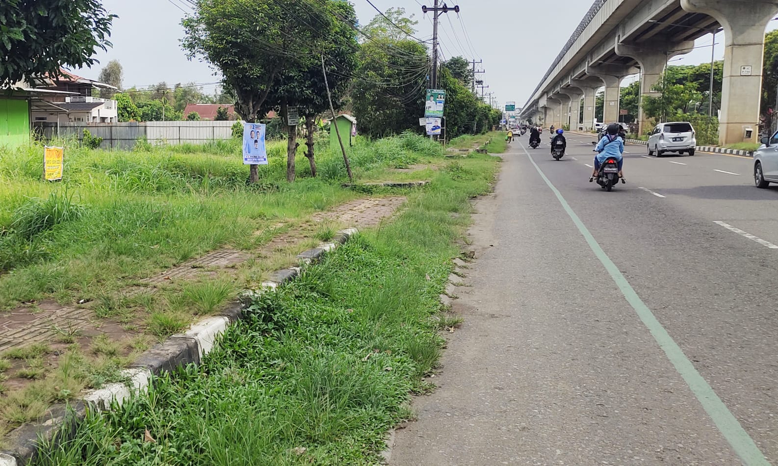 Pedestrian di Jakabaring Ditumbuhi Rumput Liar hingga Membuat Pejalan Kaki Tak Nyaman dan Aman
