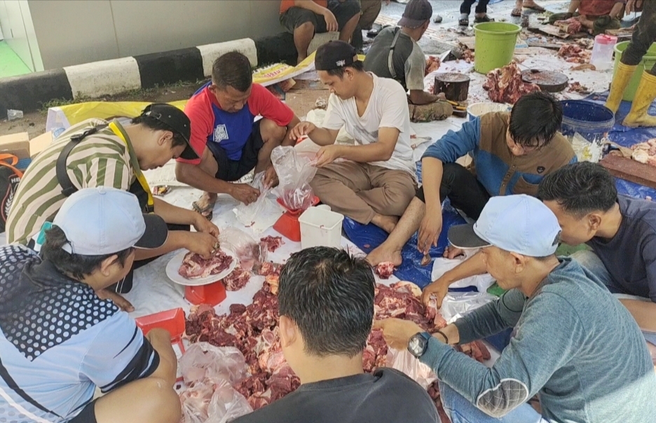 Wajib Tahu, Ternyata Ada Cara Unik Menghitung Berat Daging Sapi Kurban Keseluruhan Tanpa Timbangan