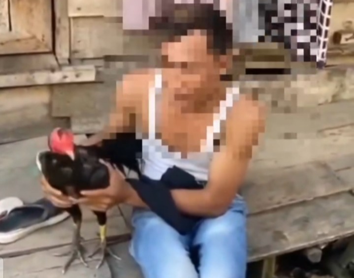 Pencuri Hewan Peliharaan di Tangga Buntung Masuk Perangkap Warga, Pelaku Diminta Tirukan Suara Ayam 