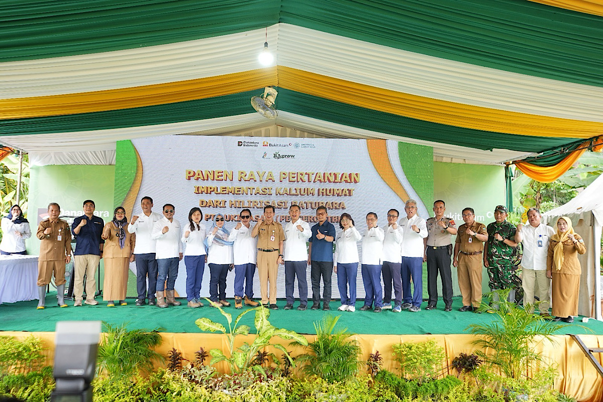 Panen Raya Hasil Padi Kalium Humat Bukti Hilirisasi Batubara Dukung Ketahanan Pangan Nasional
