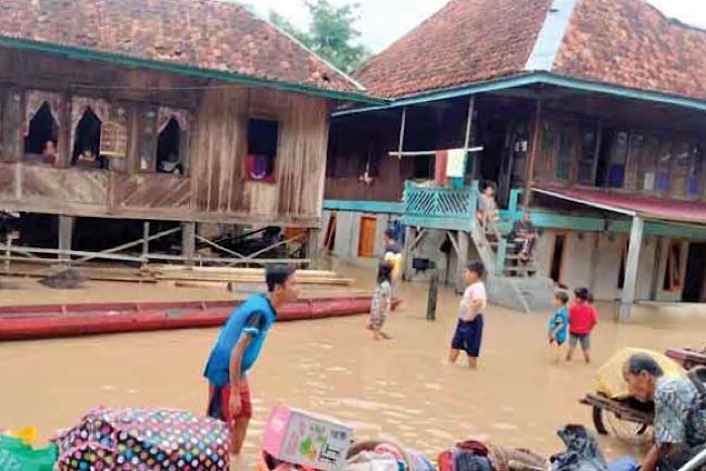 Giliran Musi Rawas Terdampak Banjir, Air Bah Datang Bersama Potongan Kayu, Basarnas Lubuklinggau Siaga 24 Jam 