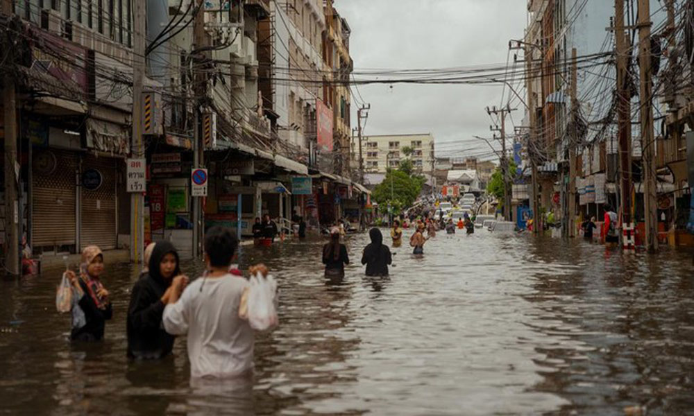 Banjir Kepung Thailand, Buaya-Ular Bermunculan