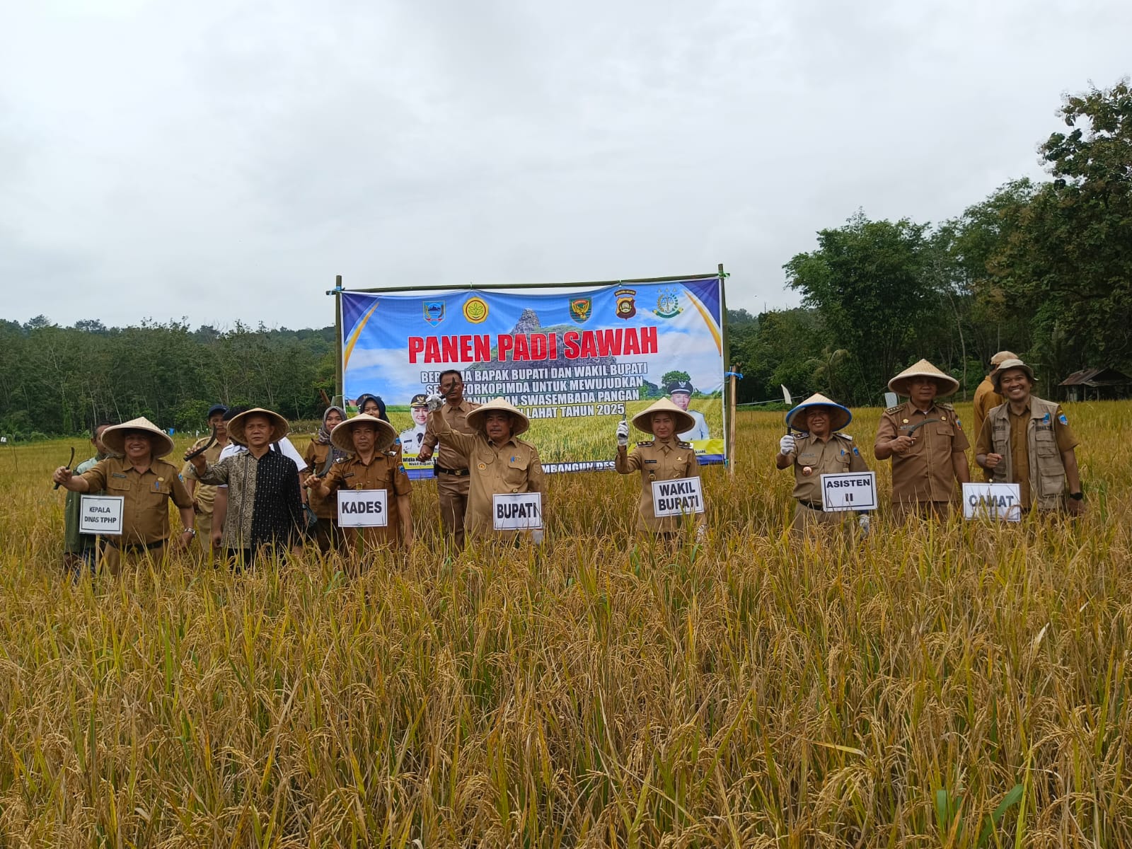 Pemkab Lahat Tingkatkan Produktivitas Pertanian dengan Pembangunan Infrastruktur dan Irigasi
