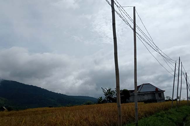 Bertahun Tahun Tiang Listrik Pakai Bambu