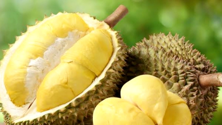 Suka Makan Durian? Berikut 8 Manfaatnya untuk Kesehatan Tubuh