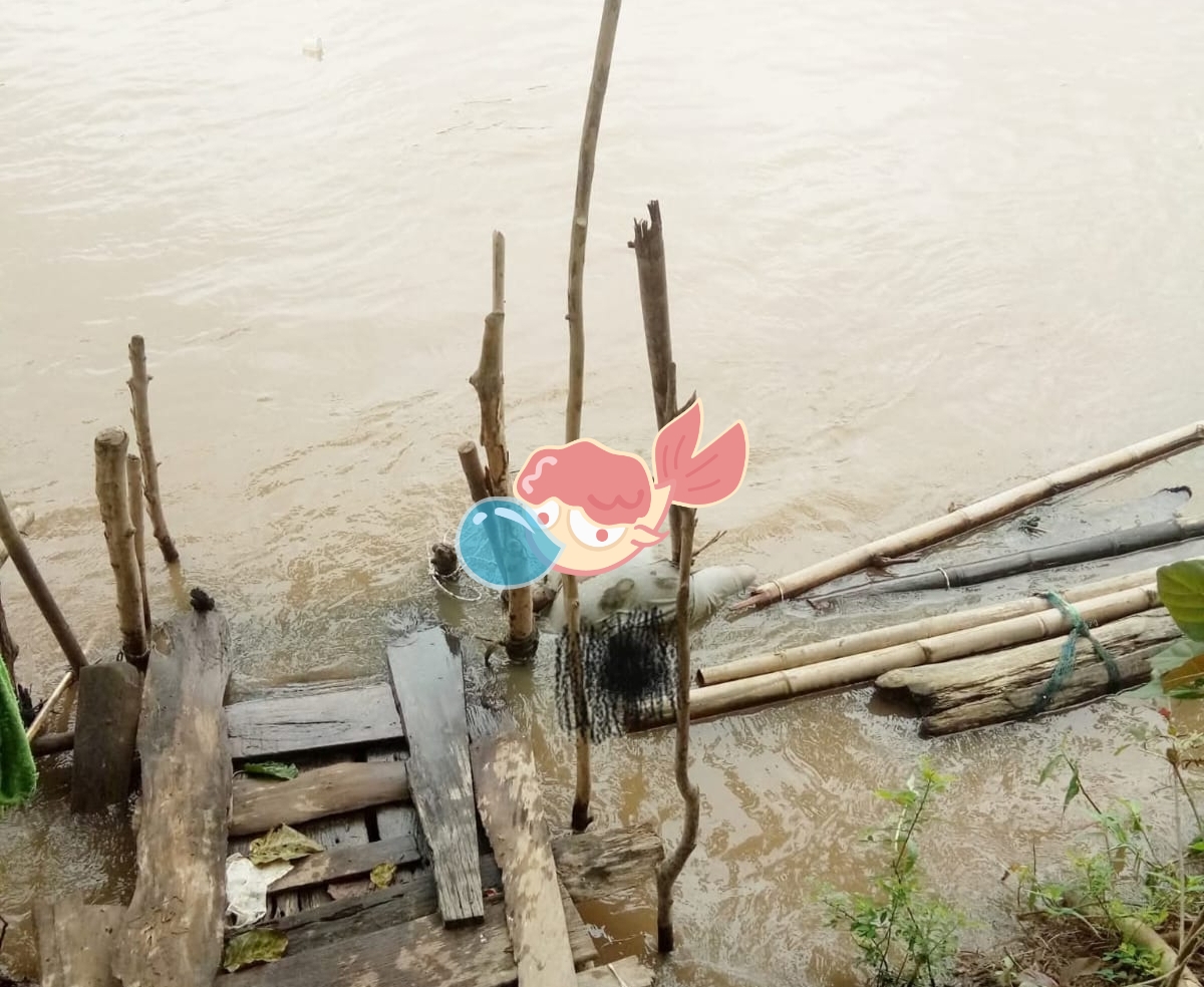 BREAKING NEWS! Penemuan Mayat Mengapung di Aliran Sungai Dekat Jerambah Setan Ogan Ilir